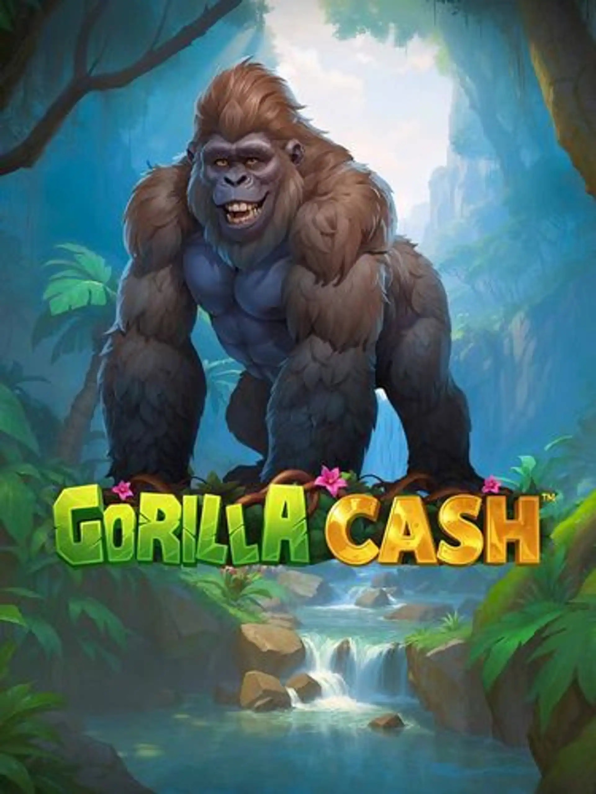 Gorilla Cash thumb