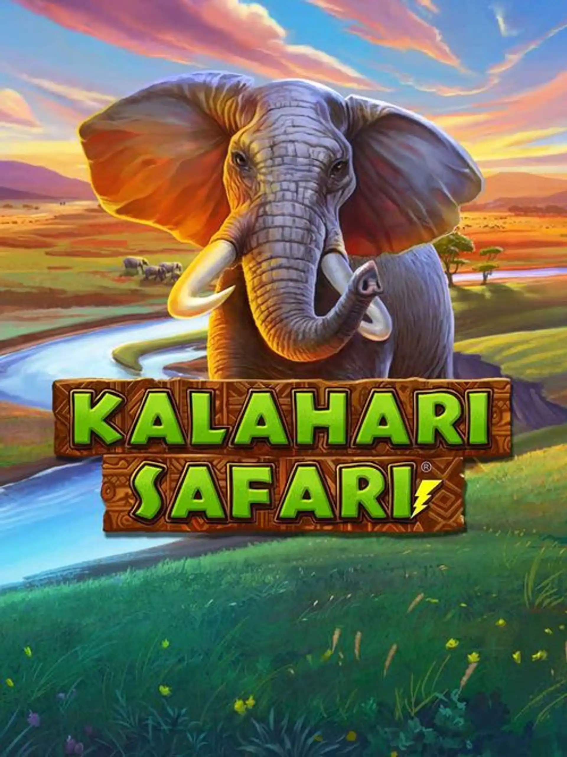 Kalahari Safari