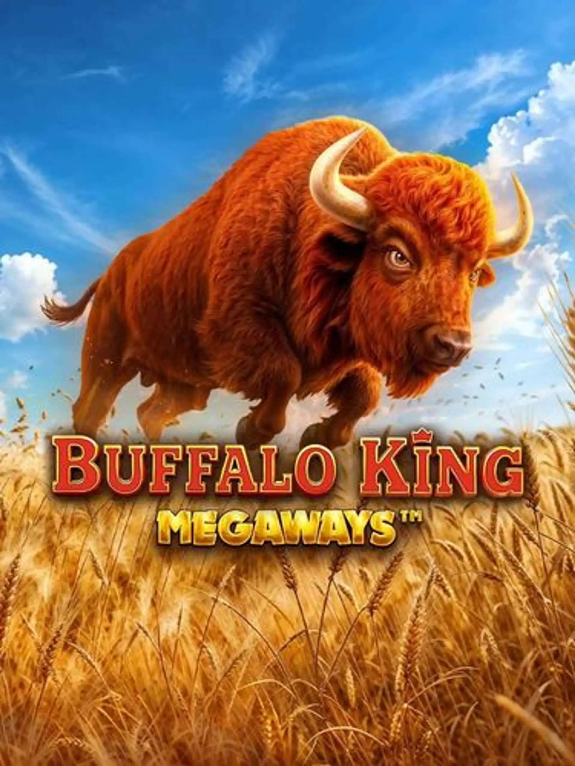 PPNBuffaloKingMegaways