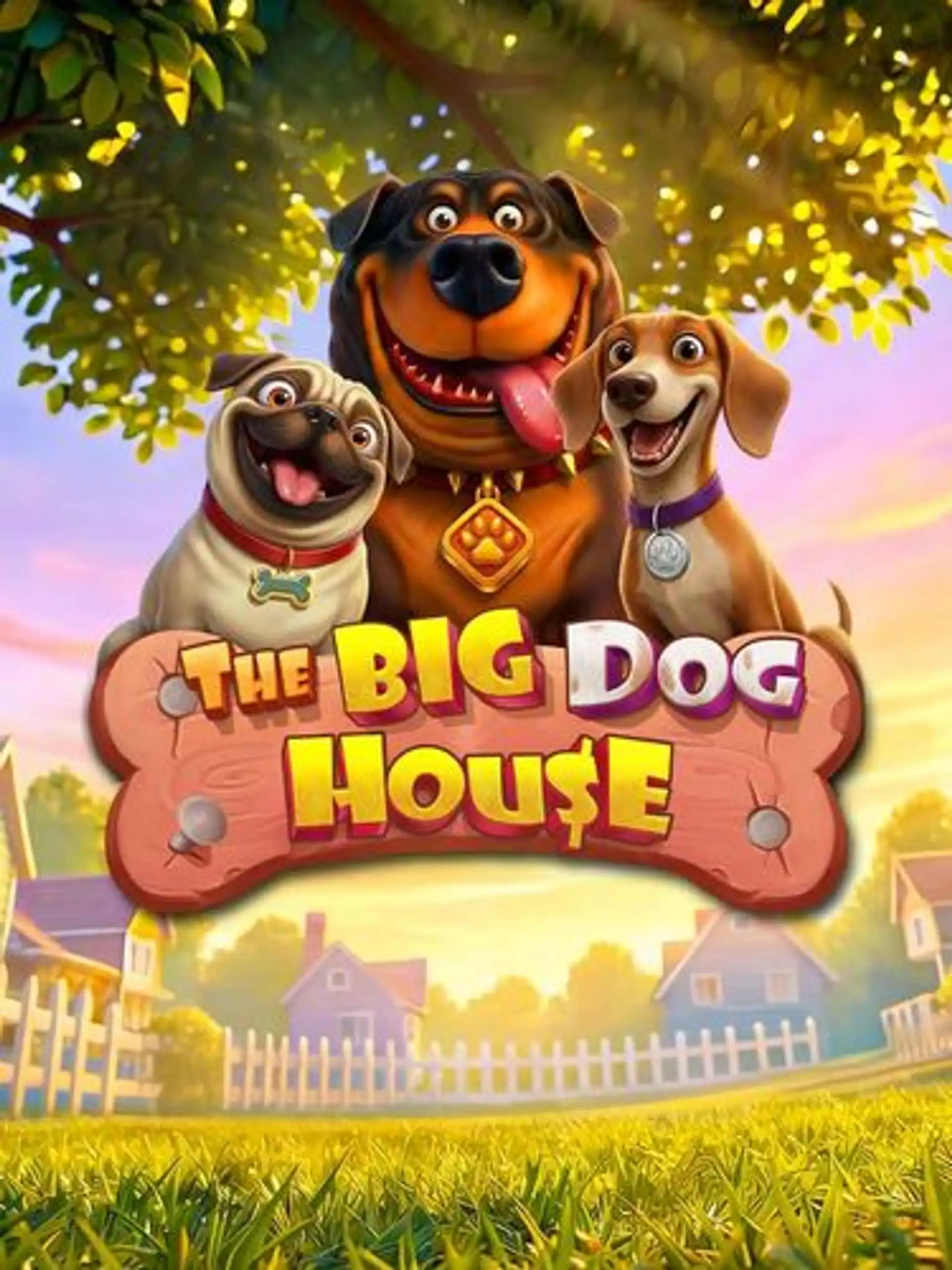 The Big Dog House