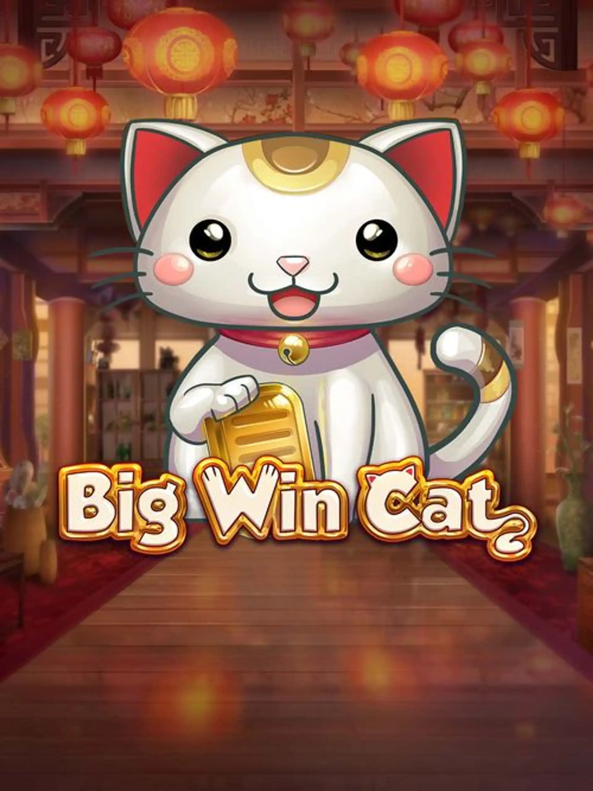 PGBigWinCat
