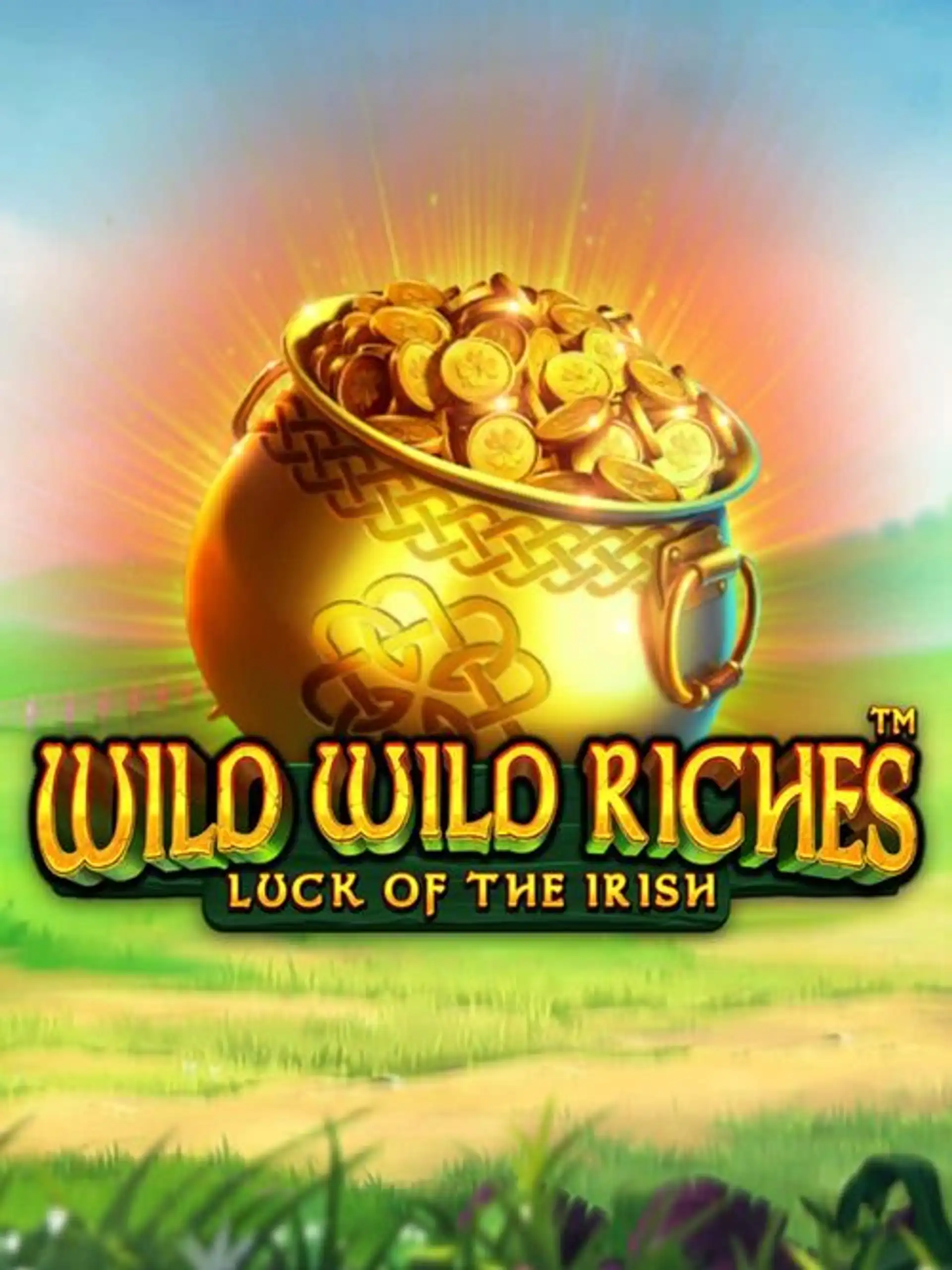 PPNWildWildRiches