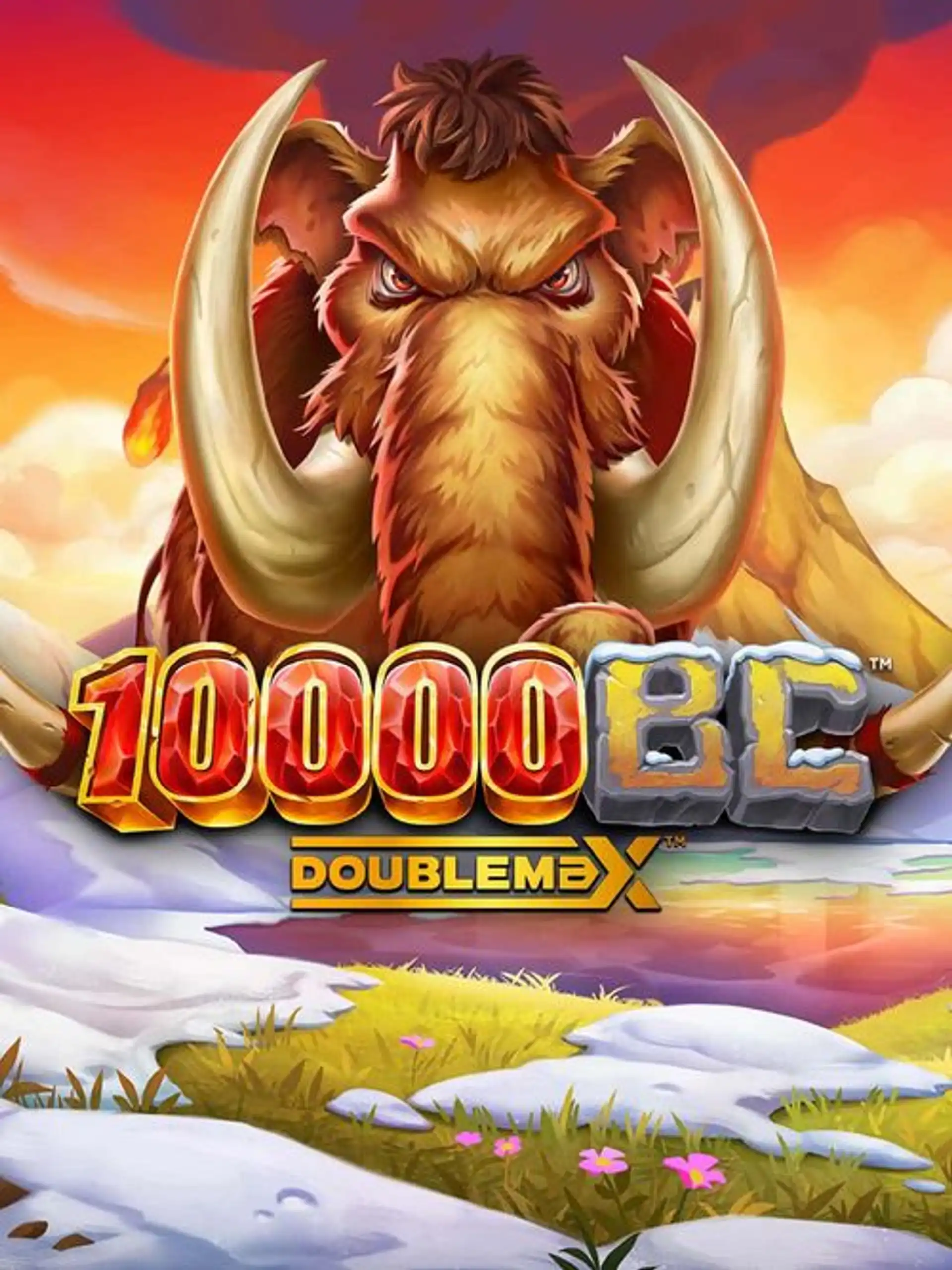 YG10000BCDoubleMax