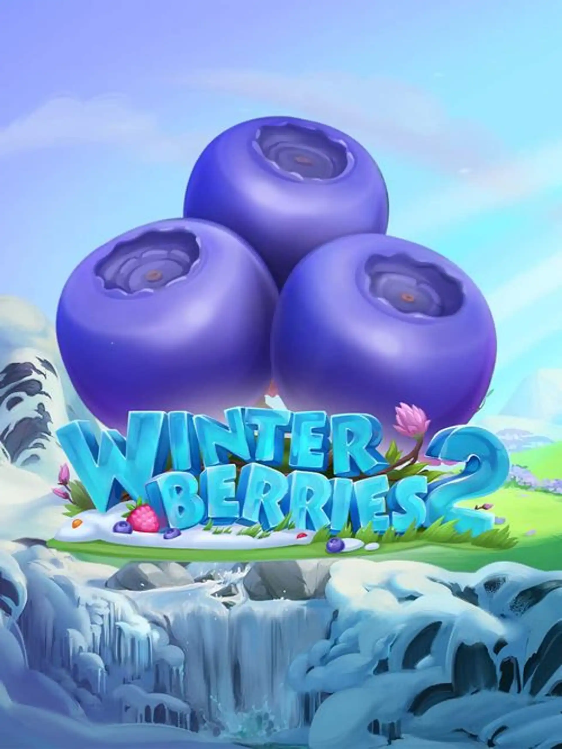 YGWinterberries2