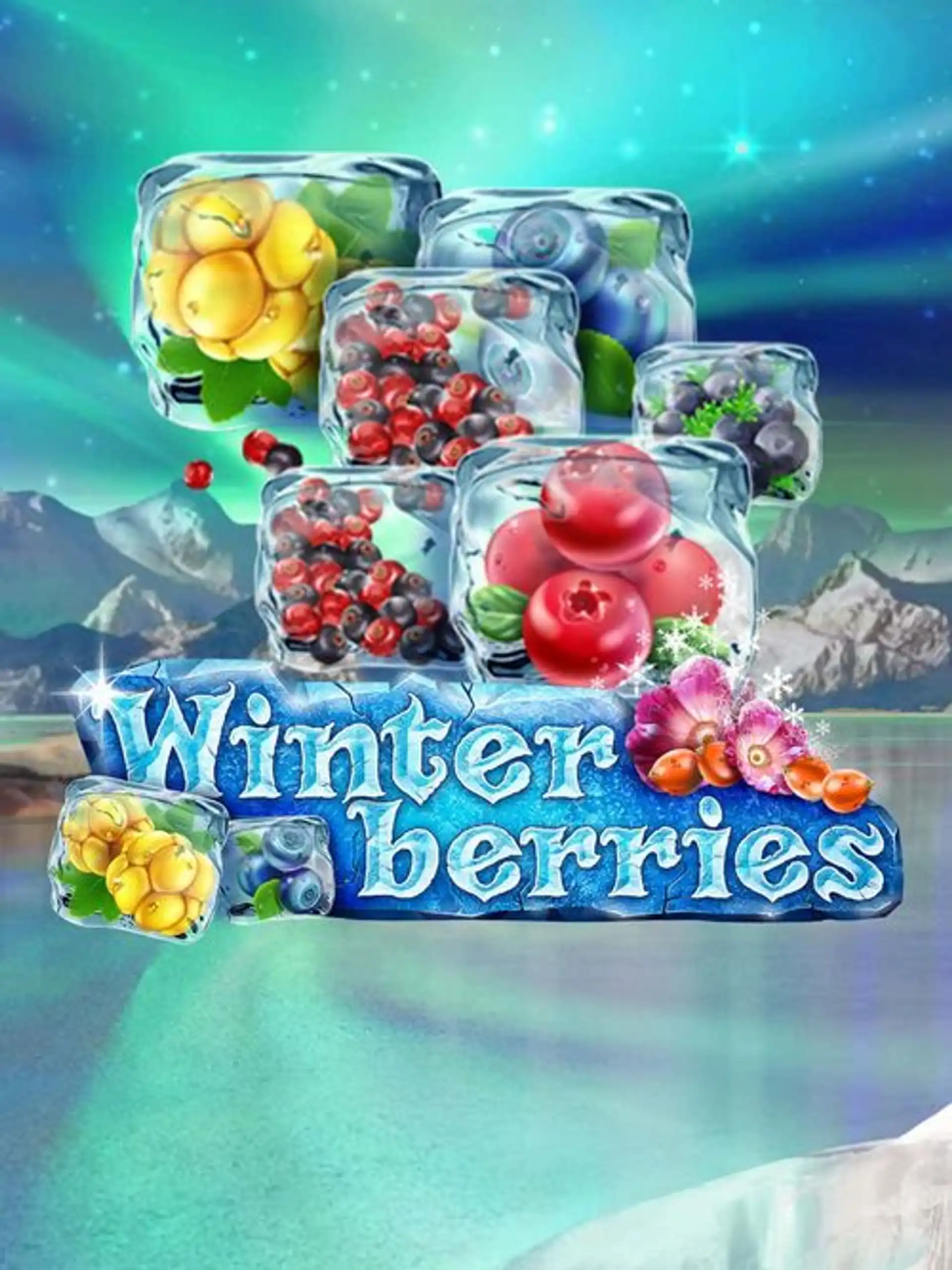 YGWinterberries
