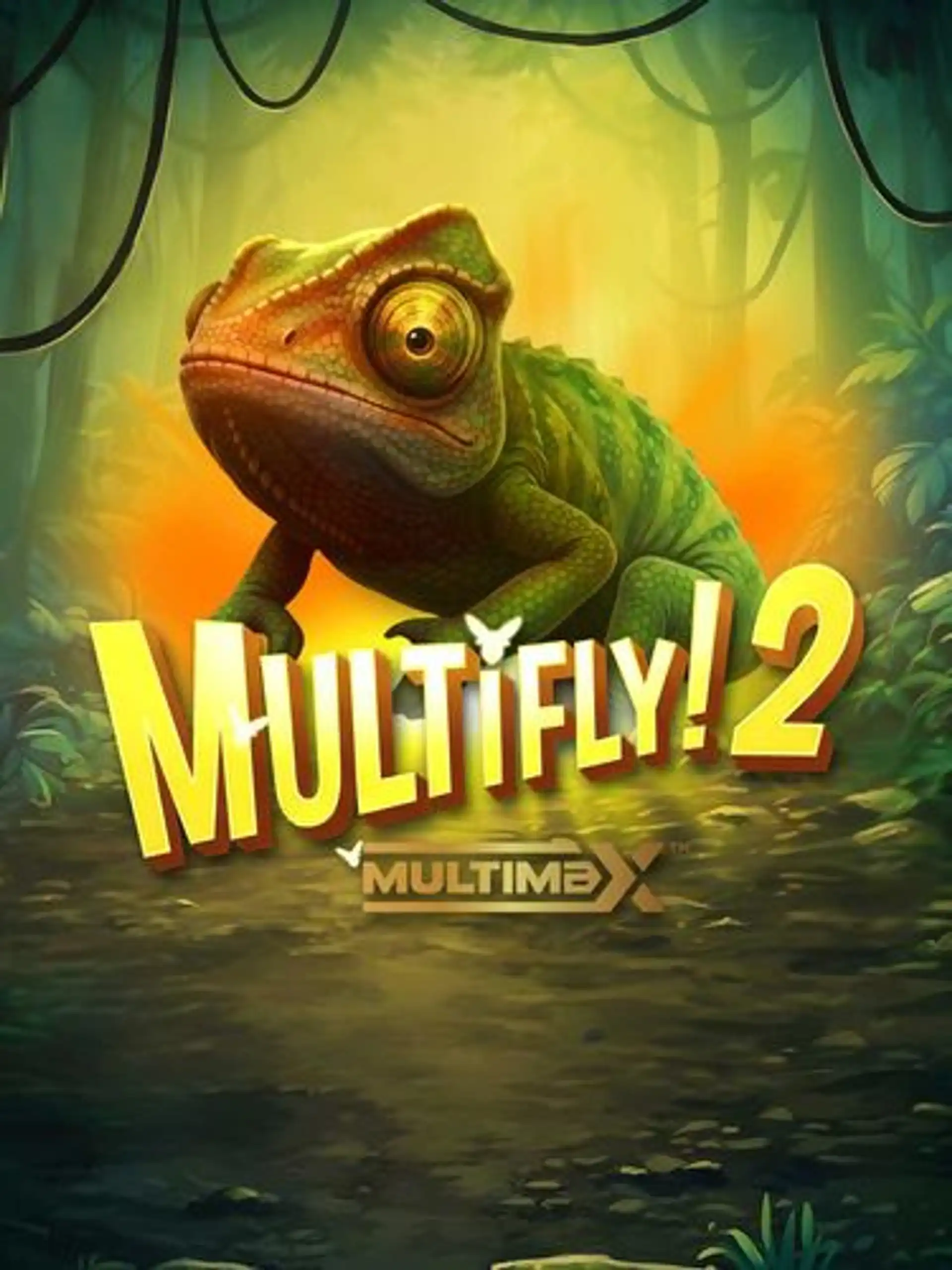 MultiFly! 2 MultiMax