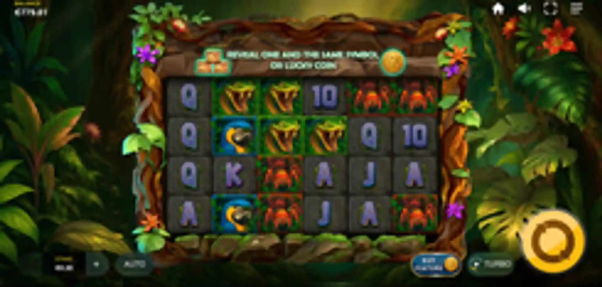 Hit the Jungle