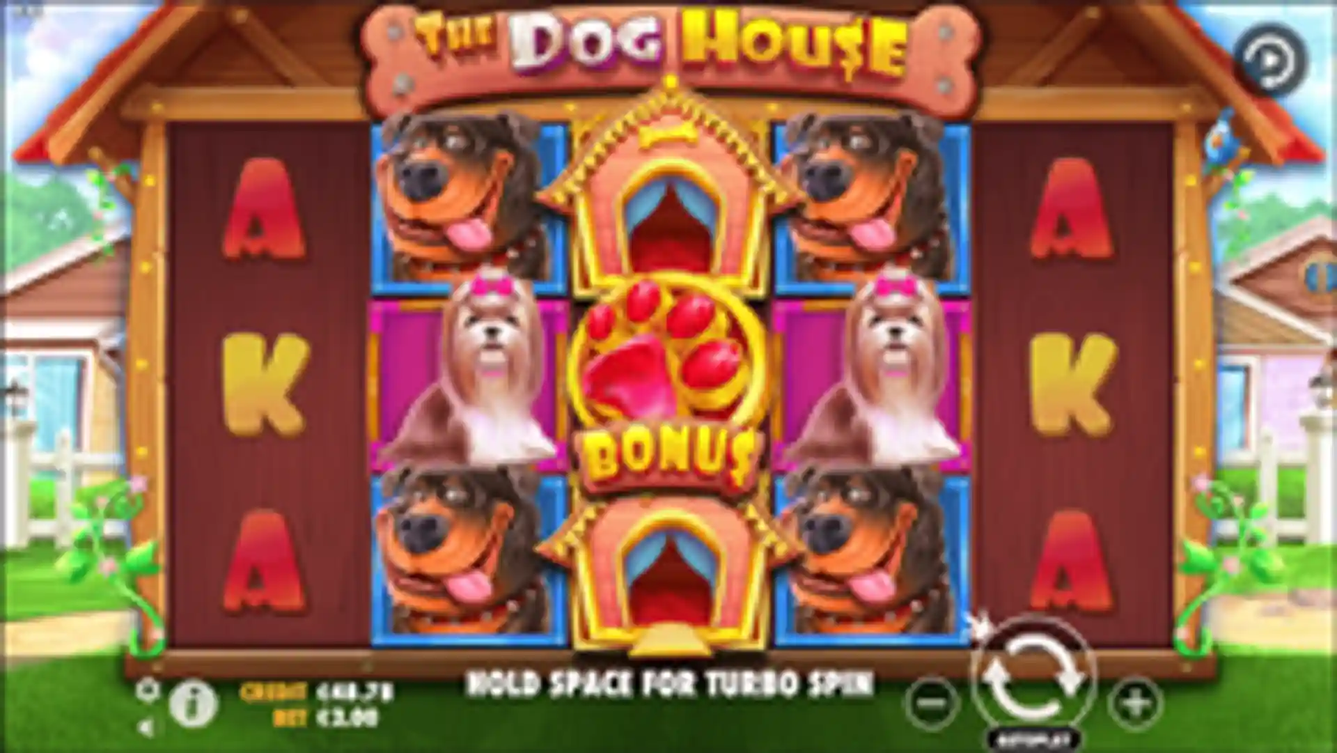 The Dog House gameplay