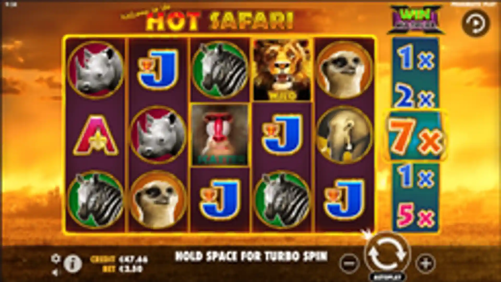 Hot Safari gameplay