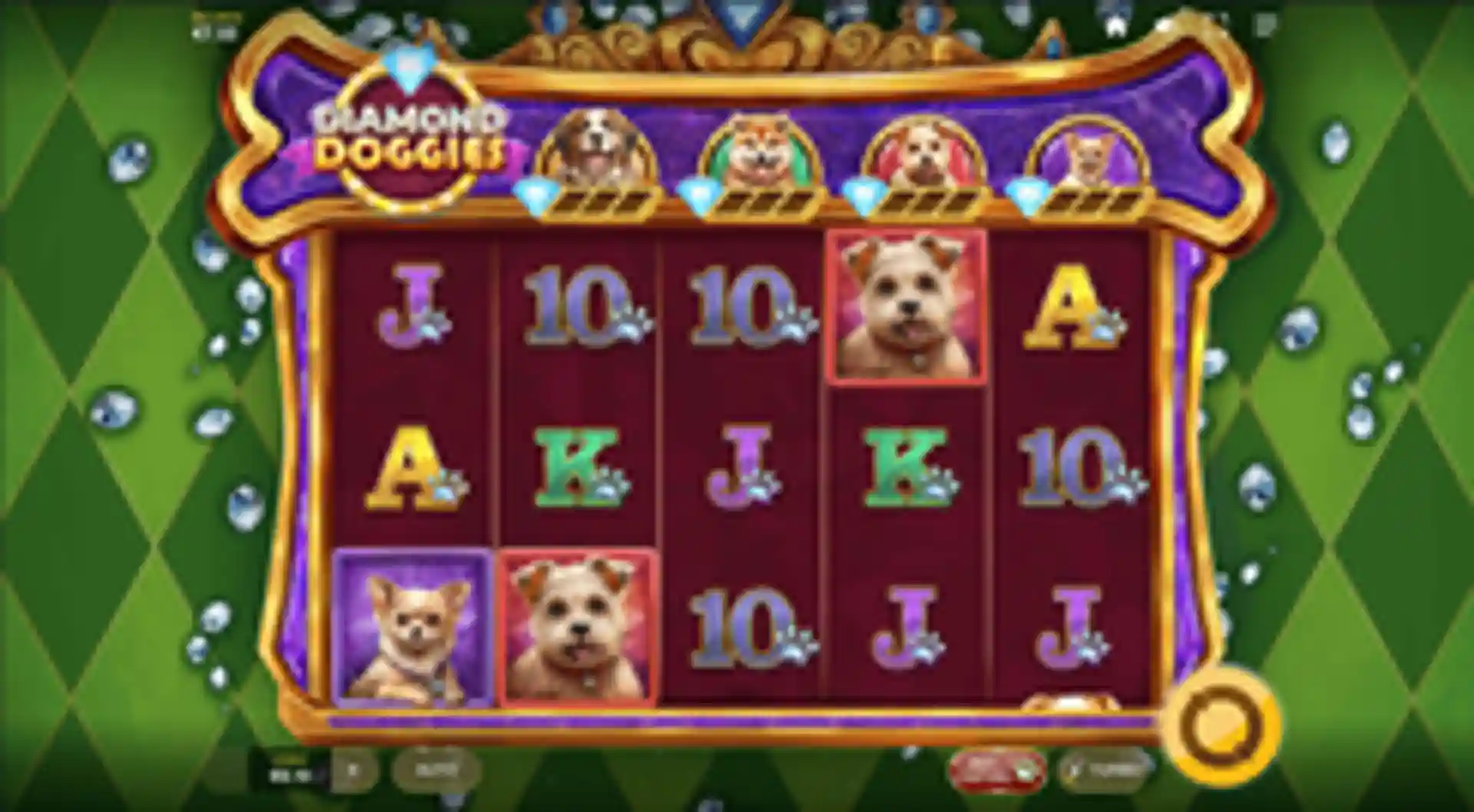Diamond Doggies GP