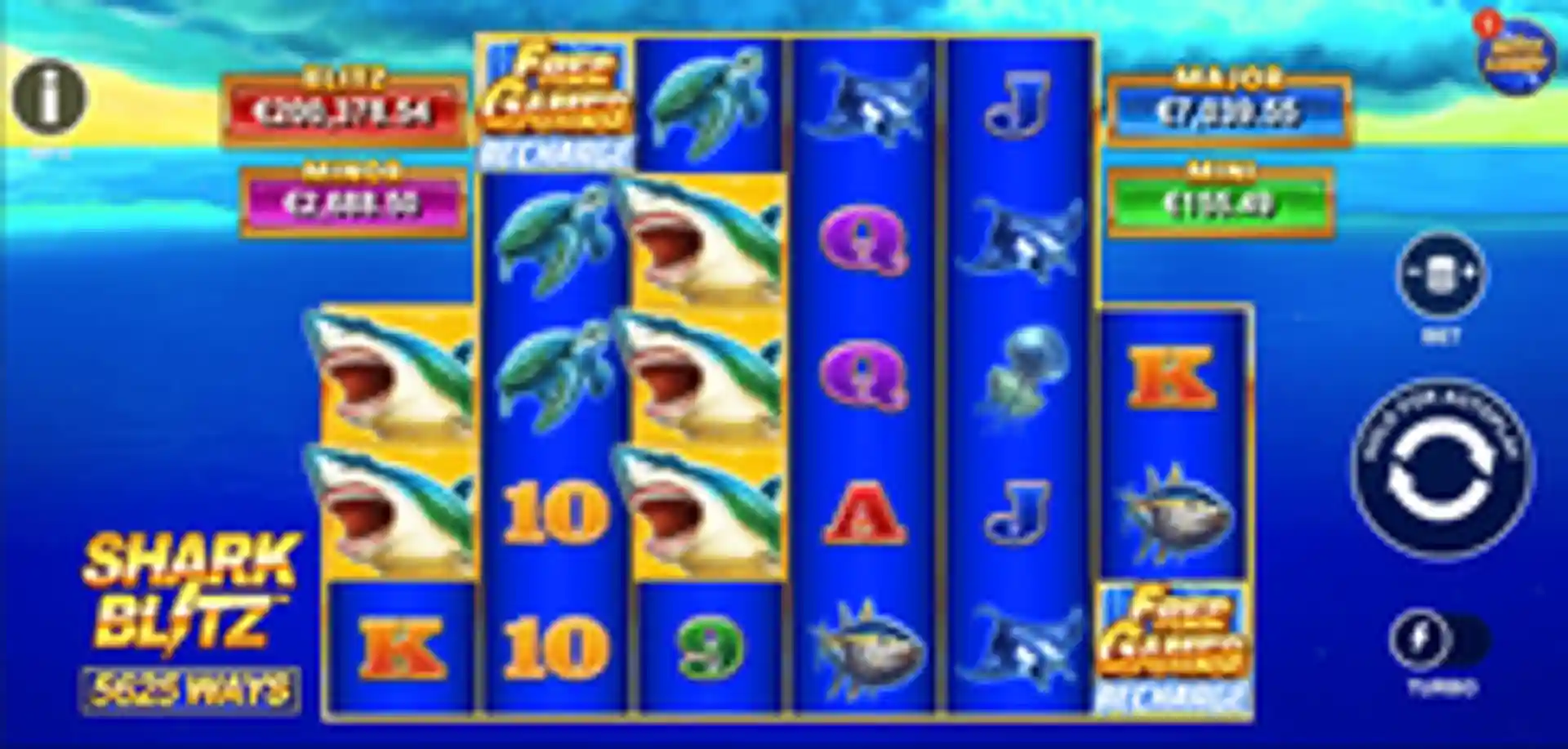 Shark Blitz GP