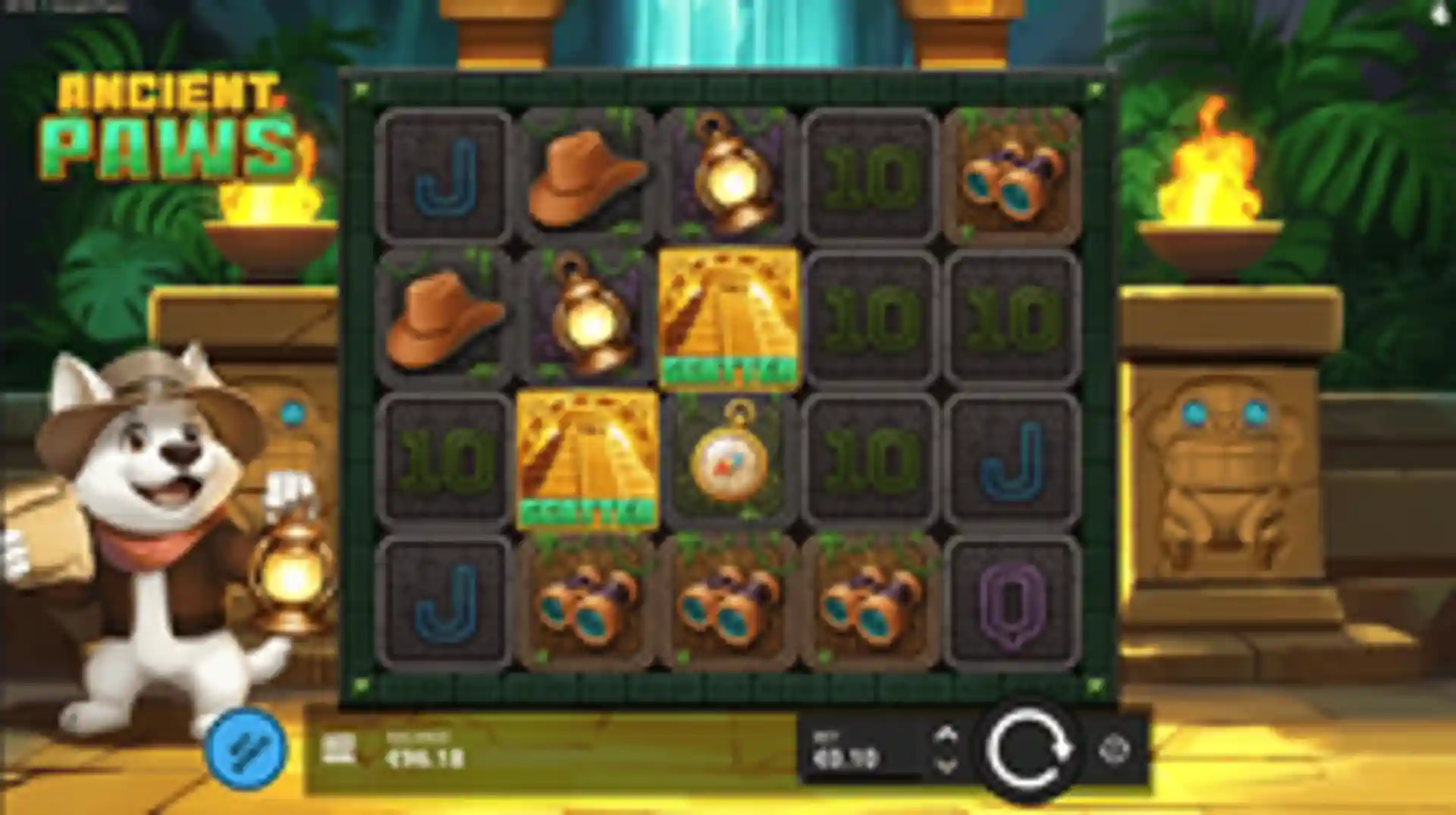 Ancient Paws GP
