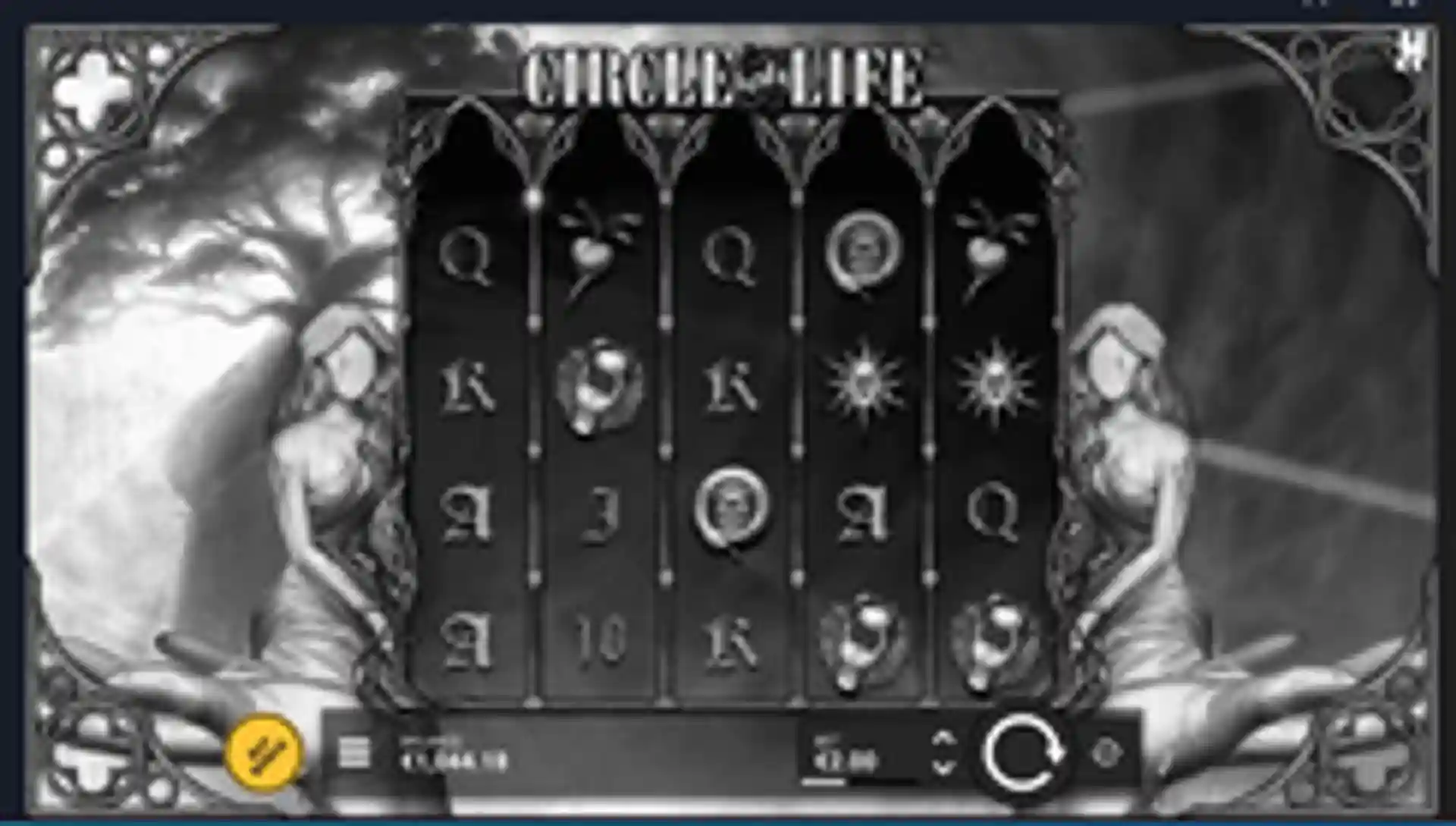 Circle Of Life gp