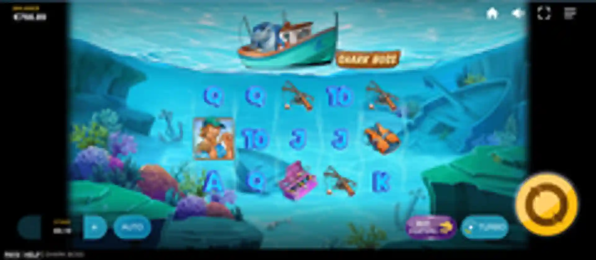 Shark Boss