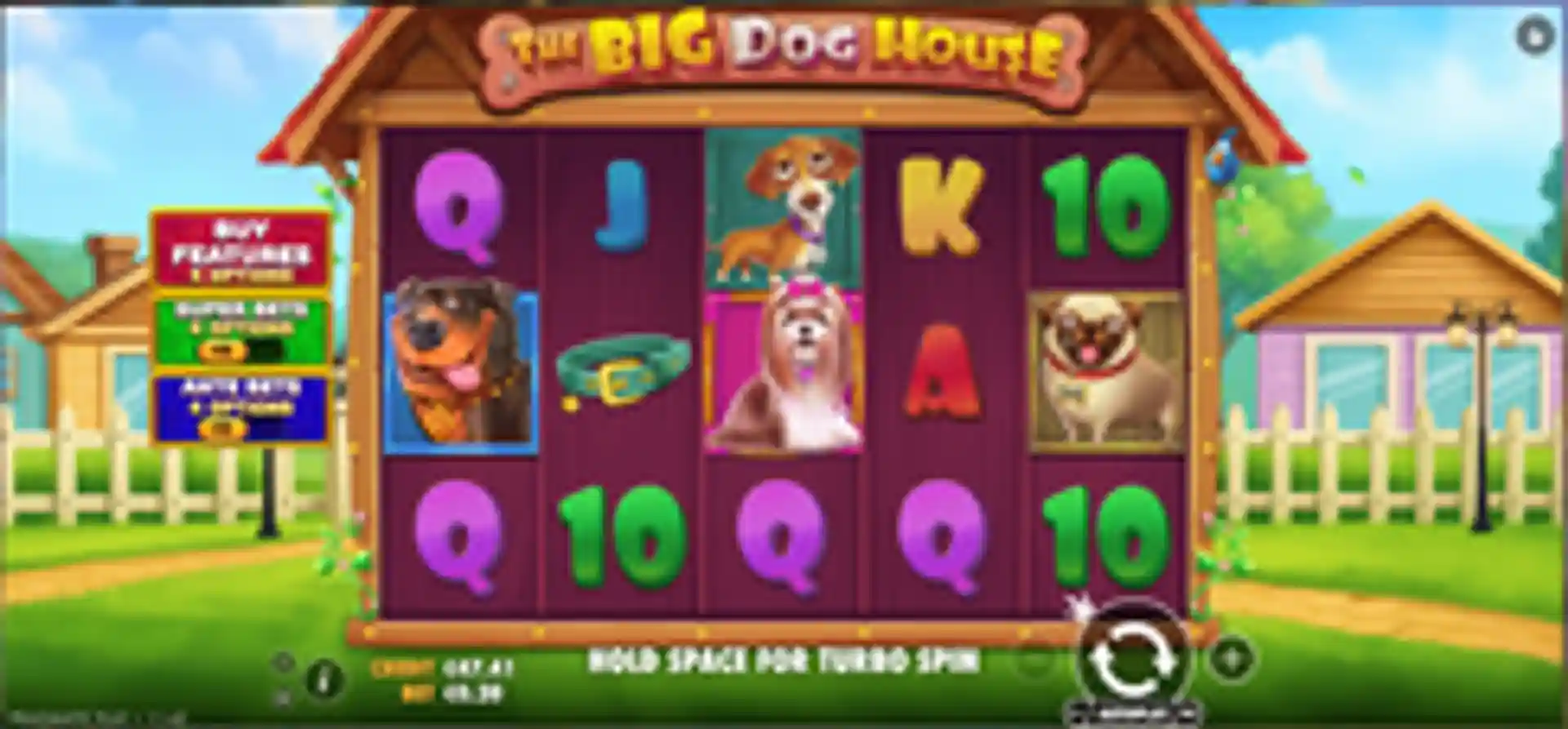 The Big Dog House
